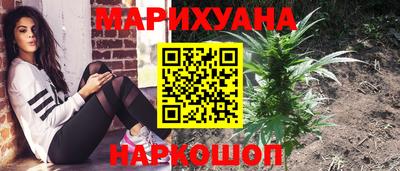 стаф Бузулук