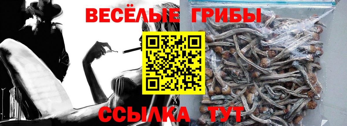 Псилоцибиновые грибы мицелий  Галлюциногенные грибы прущие грибы  Вход с VPN  Ростов Великий 